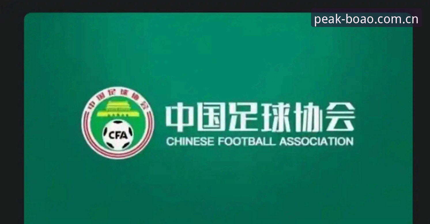 博澳体育苹果版 中国足协第三批禁足名单深度评测:足球反腐风暴下的行业净化与用户观察